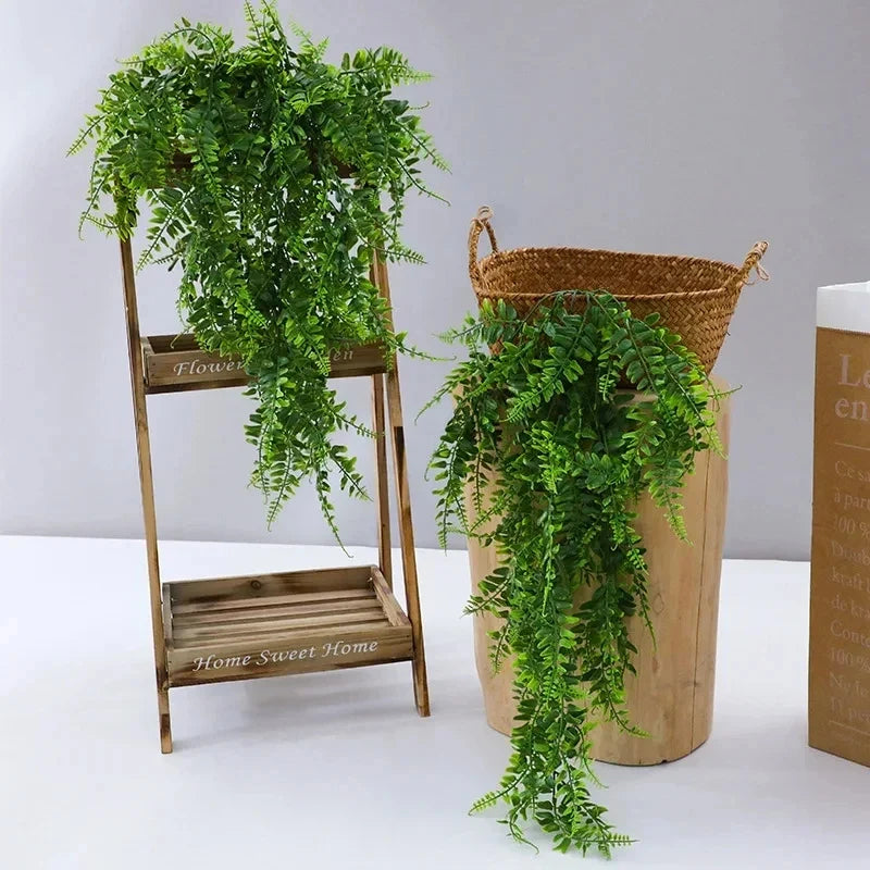 Plants