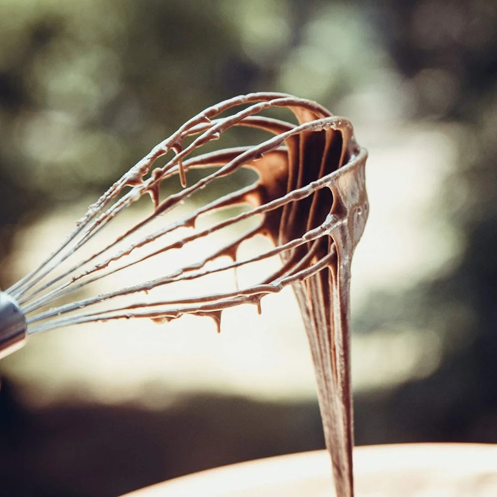 Stainless Steel Balloon Egg Whisk