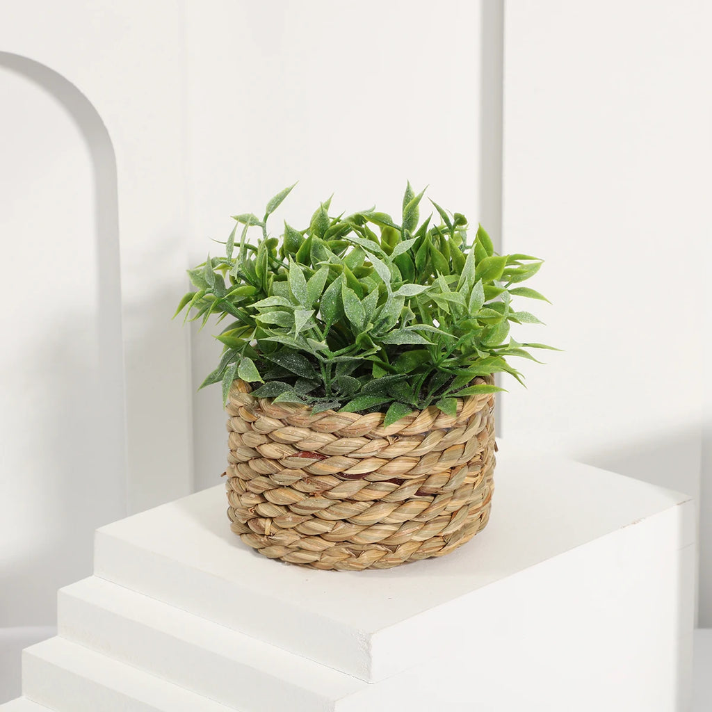 Small Artificial Eucalyptus Plant — 11cm