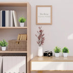 Artificial Eucalyptus Bonsai Plant