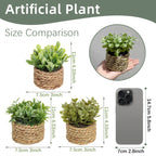 Small Artificial Eucalyptus Plant — 11cm
