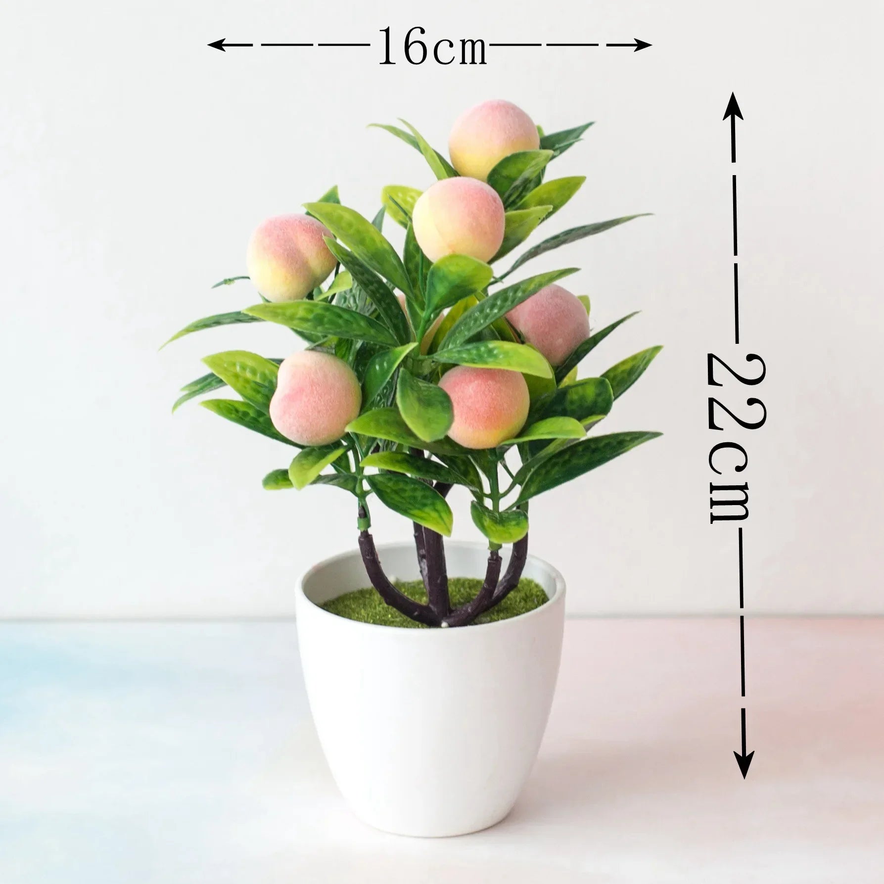 able Garden Hotel Decoration