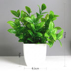 Artificial Eucalyptus Bonsai Plant