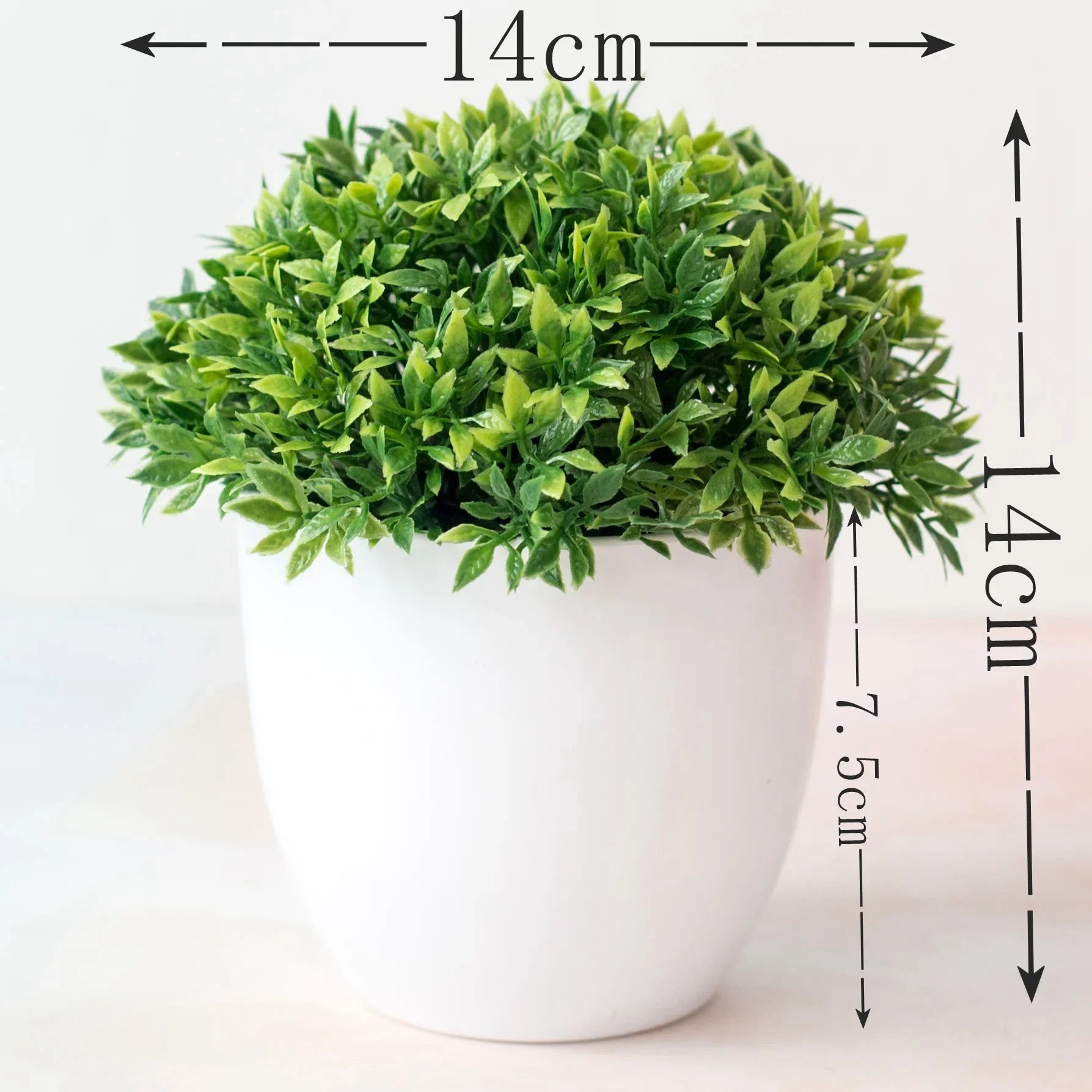 able Garden Hotel Decoration