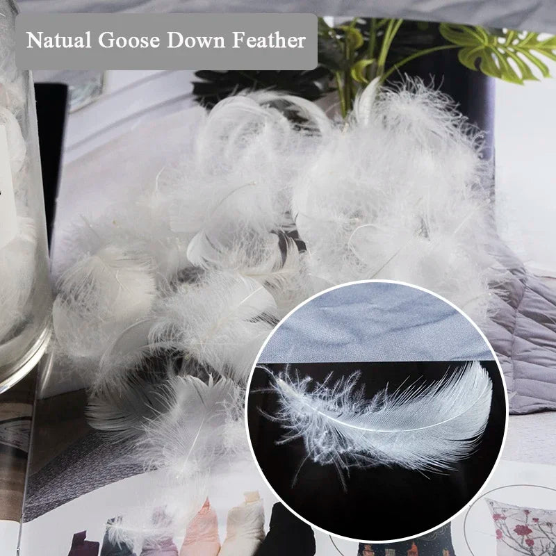 Cotton Goose Feather Cushion Pillow Assorted Sizes 80x80/70x70/60x60/55x55/50x50/45x45/40x40/50x90/50x75/50x70/50x65/45x70/40x60