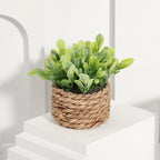Small Artificial Eucalyptus Plant — 11cm