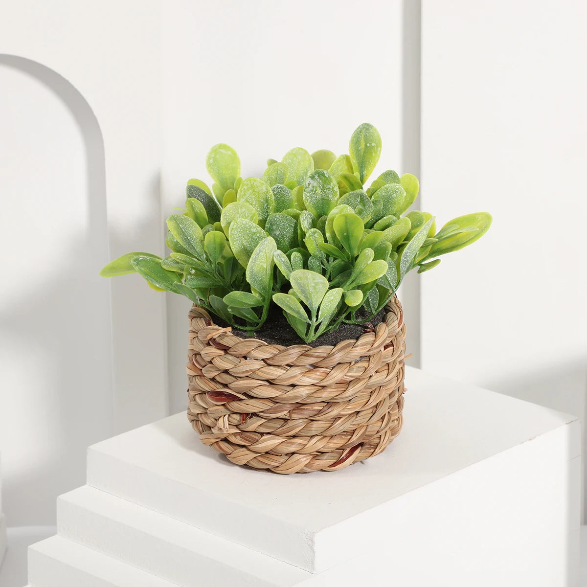 Small Artificial Eucalyptus Plant — 11cm
