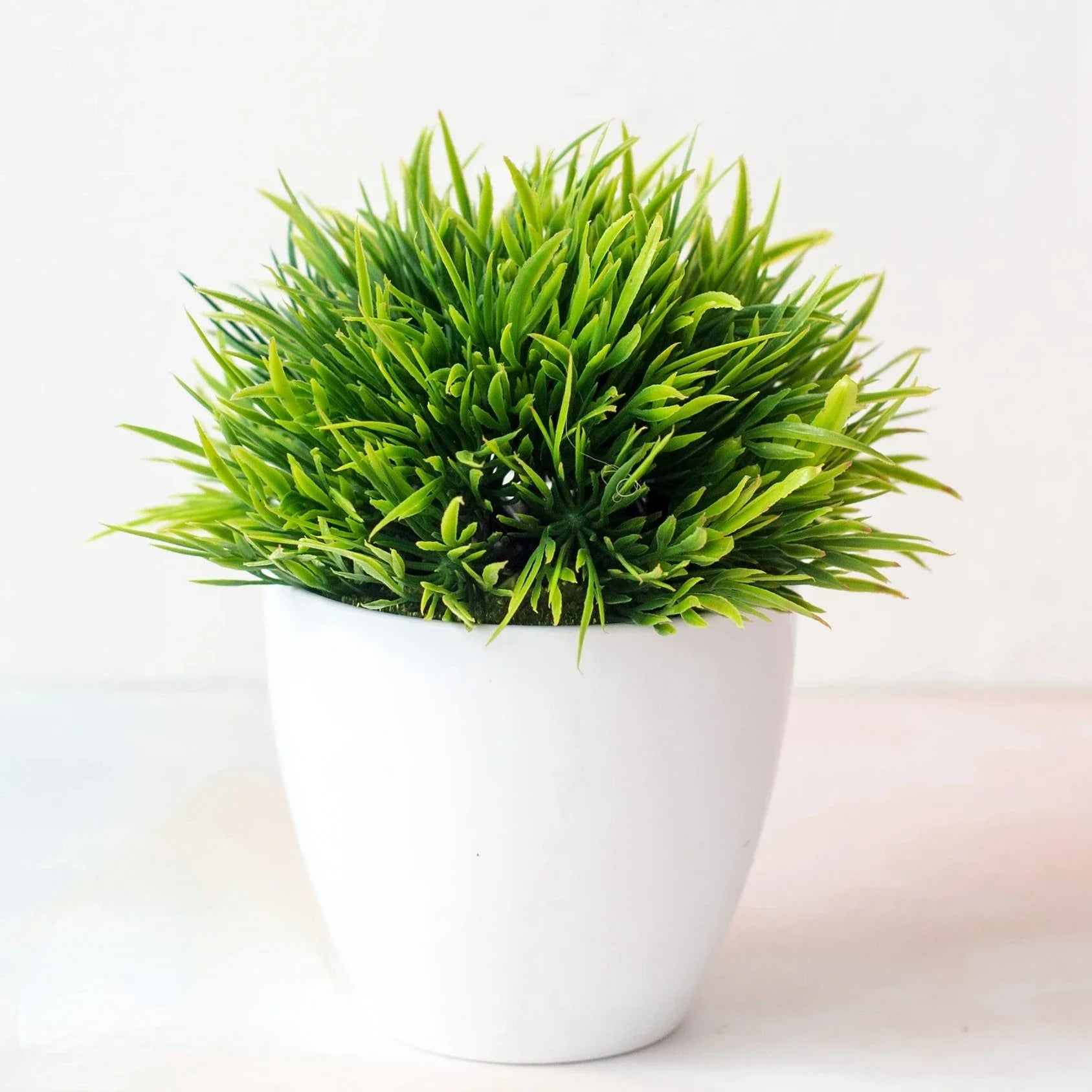 able Garden Hotel Decoration