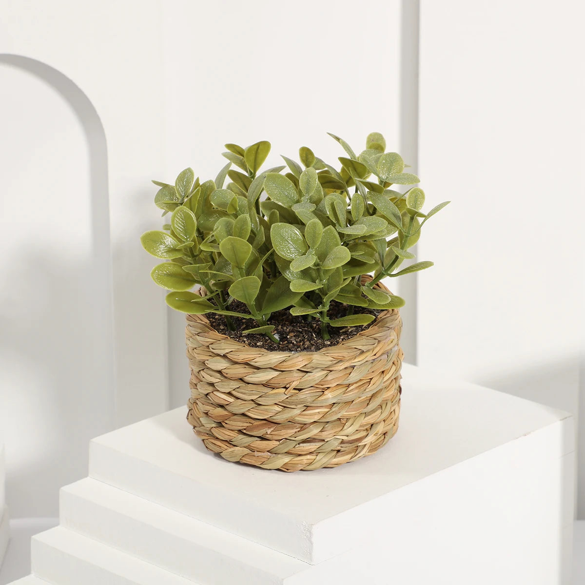 Small Artificial Eucalyptus Plant — 11cm