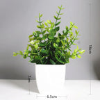 Artificial Eucalyptus Bonsai Plant